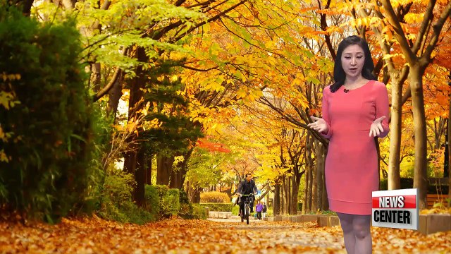 Scattered rain nationwide tonight, sunny day tomorrow