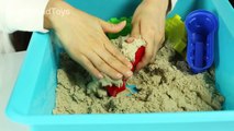 바다탐험대 옥토넛 모래놀이 장난감 캐리 바나클 콰지 셀링톤 대쉬 페이소 모래성 만들기 | CarrieAndToys
