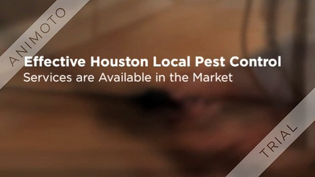 Houston Local Pest Control Services