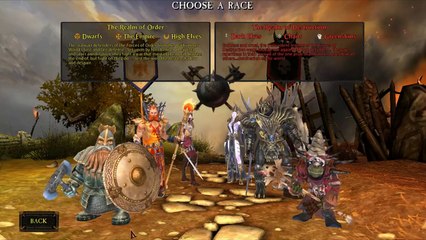 Beginners Guide, What Class Should I Play As? Warhammer Online Return of Reckoning