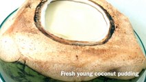 FRESH YOUNG COCONUT PUDDING