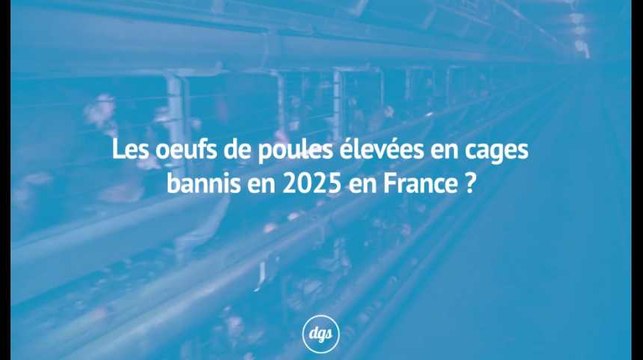 Les oeufs de poules élevées en cages bannis en 2025 en France ?