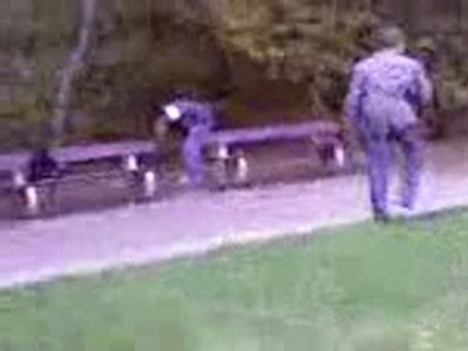 bataille de glands à la pinçonnière