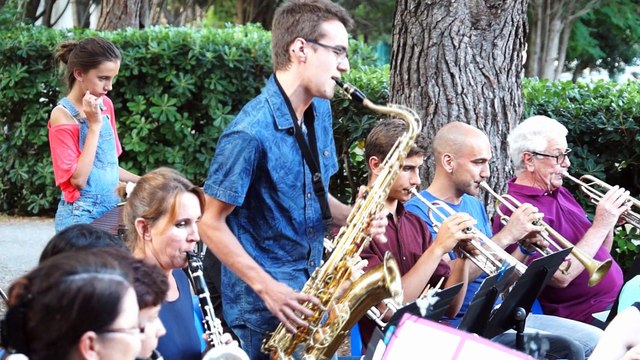 Concert de l'école de musique de Mèze - l'orchestre