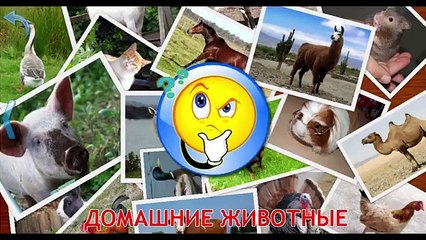 Домашние животные. Изучаем домашних животных. Звуки животных развивающий мультик