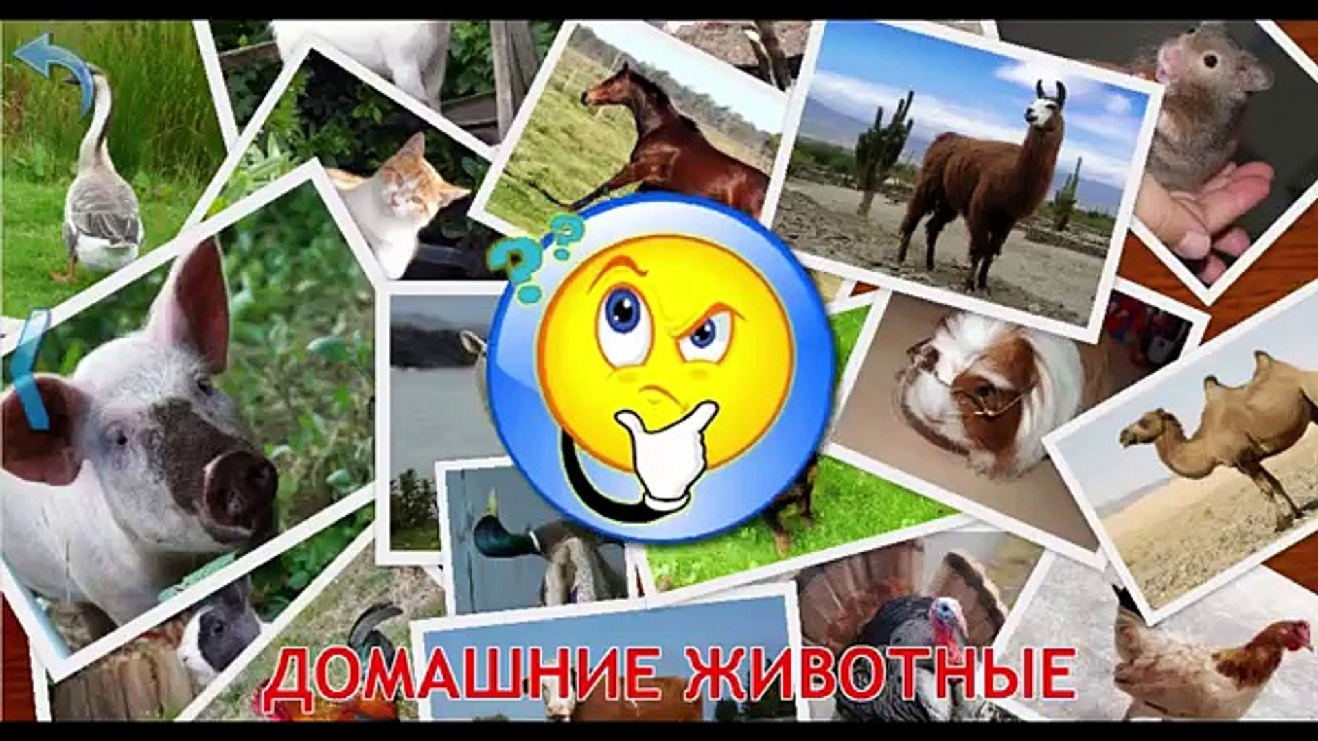 Домашние животные. Изучаем домашних животных. Звуки животных развивающий мультик