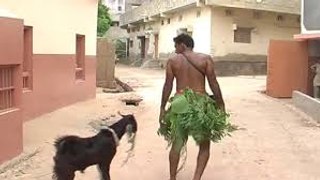 Amazing funny || WhatsApp video