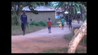 Reportage TATV/ChérieFM Guinée - L'agriculture familiale en Guinée