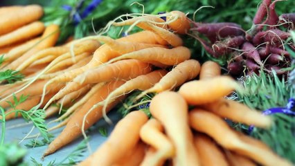 Eat Garlic Every Day, and See What Happens to You