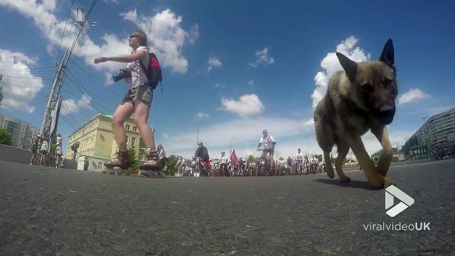 GoPro attachée à un vélo.. et volée par un Chien !!