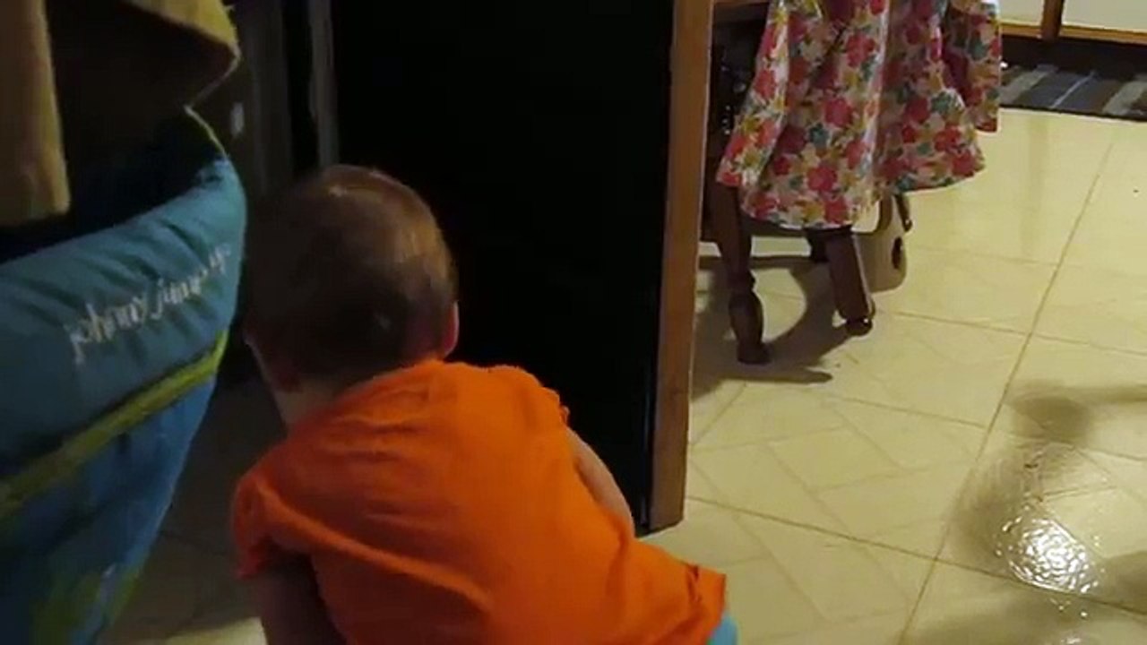 Trop Mignon. Ce papa film se petite fille en train de discuter avec son chat. (vidéo)