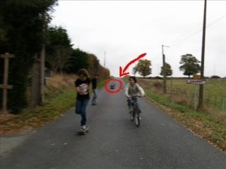 sk8 amateur et pro