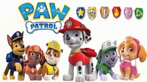 New PAW PATROL Nickelodeon. Coloring Book / Щенячий патруль. Видео для детей Раскраска