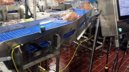 InteliJet TS & TSX, Thermal Inkjet Printer, Installed on a Bag Loader