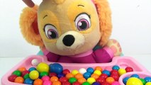 Best Learn Colors Video Baby Skye PAW PATROL, Mr Doh Eats Cupcakes, Rainbow Gumballs Playset