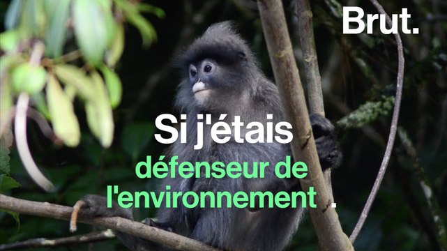 Si j'étais défenseur de l'environnement dans l'un de ces pays...
