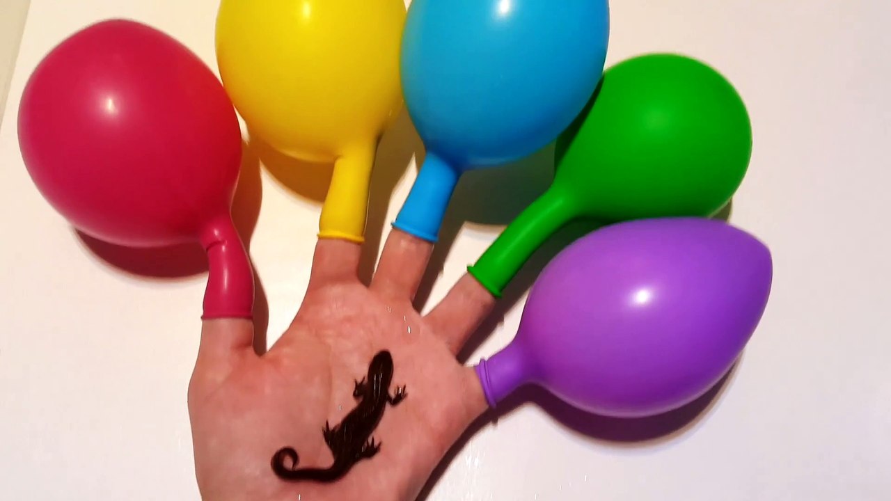 Learn Colors with Real Salamander - Video for Babies with Lizard and Nursery Rhymes