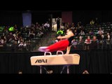 Zachary Clay - Pommel Horse Finals - 2012 Kellogg's Pacific Rim Championships