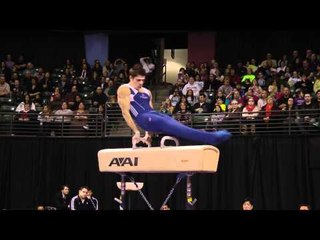 Chris Brooks - Pommel Horse Finals - 2012 Kellogg's Pacific Rim Championships