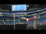 Chandler Eggleston -- High Bar -- 2012 Visa Championships -- Jr. Men -- Day 1