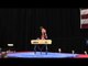 Marty Strech  - Pommel Horse -- 2012 Visa Championships -- Jr. Men -- Day