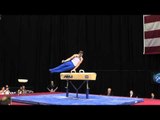Colin Van Wicklen  - Pommel Horse -- 2012 Visa Championships -- Jr. Men -- Day 1