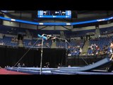 Austin Hodges - High Bar - 2012 Visa Championships - Jr. Men - Day 2