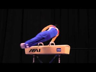 Sean Melton -- Pommel Horse -- 2012 Visa Championships -- Jr. Men -- Day 2