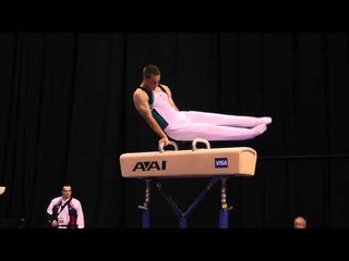 Andrew Rickly -- Pommel Horse -- 2012 Visa Championships -- Jr. Men -- Day 2