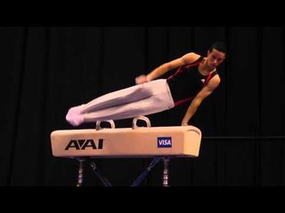 Travis Gollott -- Pommel Horse -- 2012 Visa Championships -- Jr. Men -- Day 2