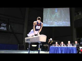 Tyler Mizoguchi - Pommel Horse - 2012 Winter Cup Finals