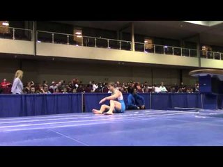 Ryan Sheppard - Vault  - 2014 Winter Cup Prelims