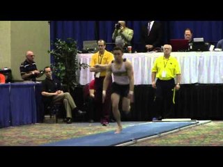 Steven Lacombe - Vault - 2014 Winter Cup Challenge Finals