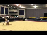 Ariella Kudishevich - Ball - 2012 Sr Rhythmic Nationals - Day 1