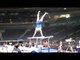 Danell Leyva - Parallel Bars - 2012 AT&T American Cup Podium Training