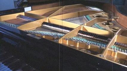 The Secrets Of Vibration & Frequency! (The Power Of Sound!)