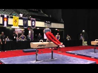 David Jessen - Pommel Horse - 2014 Men's Junior Olympic National Championships