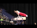 Andrey Likhovitskiy - Pommel Horse - 2014 AT&T American Cup