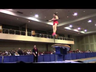 Dmitri Belanovski - Vault  - 2014 Winter Cup Prelims