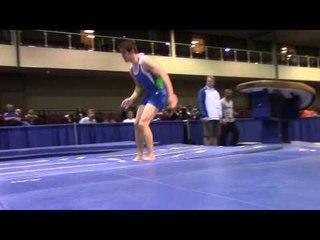 Jacob Barrus  - Vault -  2014 Winter Cup Prelims