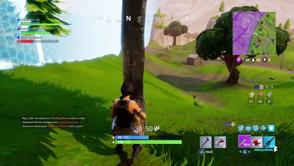 Fortnite Slim Chances