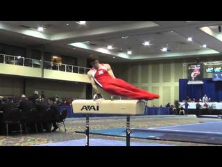 Eric Schryver - Pommel Horse - 2014 Winter Cup Challenge Prelims