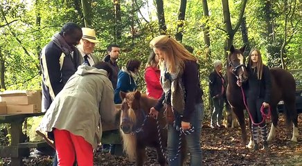 Bénédiction des animaux