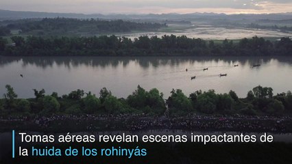 AI reclama acciones inmediatas a favor de los rohinyás
