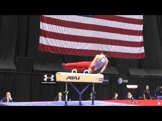 Sean Melton - Pommel Horse - 2014 P&G Championships - Sr. Men Day 2