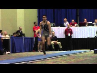 Kevin Wolting  - Vault  - 2014 Winter Cup Prelims