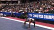 Sean Golden - Floor Exercise - 2005 Visa Championships - Men - Day 2