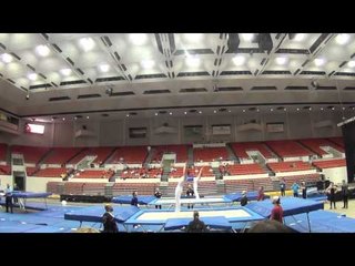 Dooley:S Gluckstein - Men's Synchro Comp - 2012 T&T Elite Challenge