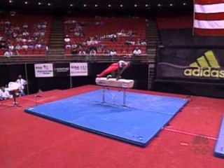 Eric Lopez - Pommel Horse - 2000 Visa American Cup