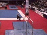 Chris Waller - Parallel Bars - 1995 Visa Gymnastics Challenge - Men